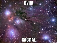 сука хасла!