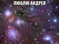 люблю андрея 