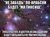 "не забудь" по-арабски будет "ма тинсиш". любопытно, а цветок незабудка как будет называться? матинсишка?