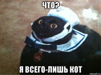 что? я всего-лишь кот