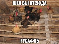 шел бы отсюда русафоб