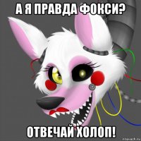 а я правда фокси? отвечай холоп!