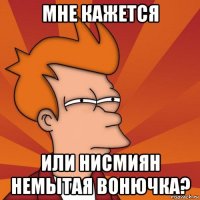 мне кажется или нисмиян немытая вонючка?