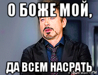 о боже мой, да всем насрать