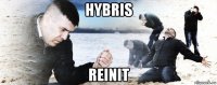 hybris reinit