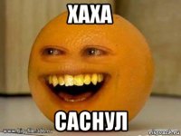 хаха саснул