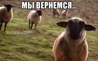 мы вернемся... 