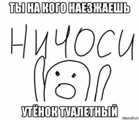 ты на кого наезжаешь утёнок туалетный