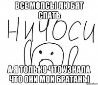 все мопсы любят спать а я только что узнала что они мои братаны