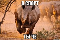 о спорт ты че