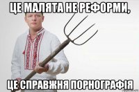 це малята не реформи, це справжня порнографія
