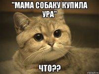 "мама собаку купила ура" что??