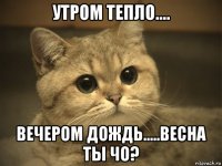 утром тепло.... вечером дождь.....весна ты чо?