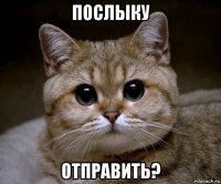 послыку отправить?