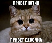 привет котик привет девочка