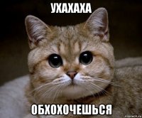 ухахаха обхохочешься