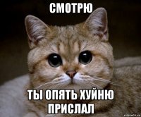 смотрю ты опять хуйню прислал