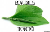 андрюша не болей