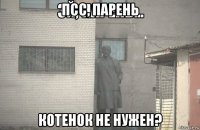 псс, парень котенок не нужен?