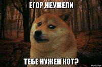 егор,неужели тебе нужен кот?