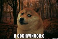  я соскучился:с