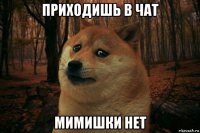 приходишь в чат мимишки нет