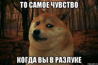 то самое чувство когда вы в разлуке