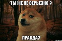 ты же не серьезно ? правда?