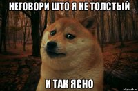 неговори што я не толстый и так ясно