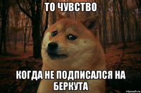 то чувство когда не подписался на беркута