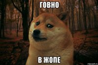 говно в жопе