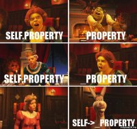self.property _property self.property _property  self->_property