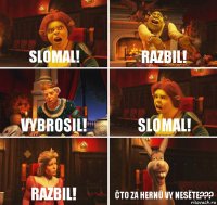 Slomal! Razbil! Vybrosil! Slomal! Razbil! Čto za hernû vy nesëte???