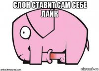 слон ставит сам себе лайк 