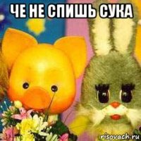 че не спишь сука 