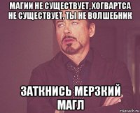 магии не существует, хогвартса не существует, ты не волшебник заткнись мерзкий магл