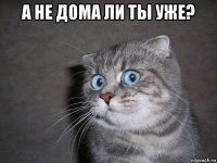 а не дома ли ты уже? 