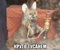  круто тусанем