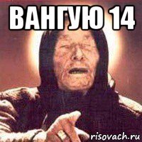 вангую 14 