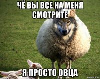 чё вы все на меня смотрите я просто овца