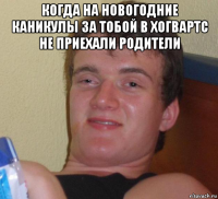 когда на новогодние каникулы за тобой в хогвартс не приехали родители 