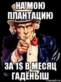 на мою плантацию за 1$ в месяц гадёныш