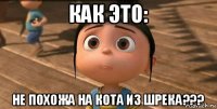 как это: не похожа на кота из шрека???