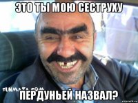 это ты мою сеструху пердуньей назвал?