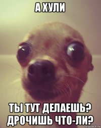 а хули ты тут делаешь? дрочишь что-ли?