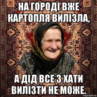 на городі вже картопля вилізла, а дід все з хати вилізти не може.
