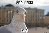 себя ебни сука