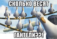 сколько весят гантели??!