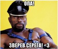 опа! зверев серега! <з