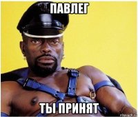 павлег ты принят